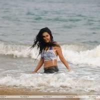 Rachana Mourya New Hot Images | Picture 431926