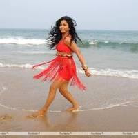 Rachana Mourya New Hot Images | Picture 431927