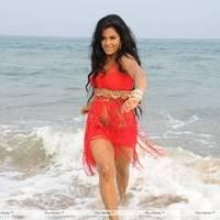 Rachana Mourya New Hot Images | Picture 431929