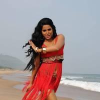 Rachana Mourya New Hot Images | Picture 431766