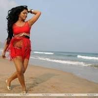 Rachana Mourya New Hot Images | Picture 431768