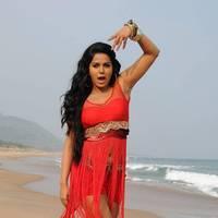 Rachana Mourya New Hot Images | Picture 431781