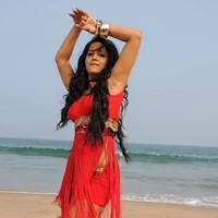 Rachana Mourya New Hot Images | Picture 431784