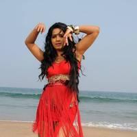 Rachana Mourya New Hot Images | Picture 431788
