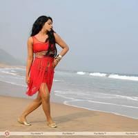 Rachana Mourya New Hot Images | Picture 431792