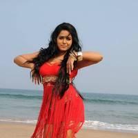 Rachana Mourya New Hot Images | Picture 431800