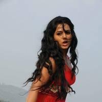 Rachana Mourya New Hot Images | Picture 431801