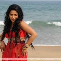 Rachana Mourya New Hot Images | Picture 431802