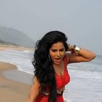 Rachana Mourya New Hot Images | Picture 431829