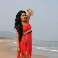 Rachana Mourya New Hot Images | Picture 431835