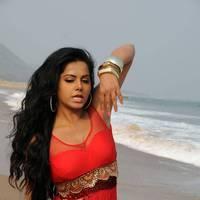 Rachana Mourya New Hot Images | Picture 431836