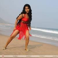 Rachana Mourya New Hot Images | Picture 431837
