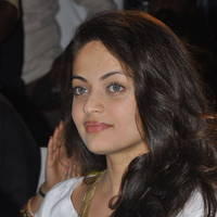 Sneha Ullal New Pictures at Park Movie Audio Release | Picture 436689