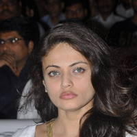 Sneha Ullal New Pictures at Park Movie Audio Release | Picture 436703