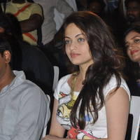 Sneha Ullal New Pictures at Park Movie Audio Release | Picture 436710