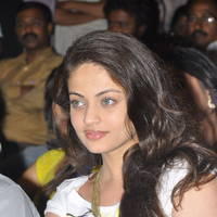 Sneha Ullal New Pictures at Park Movie Audio Release | Picture 436712