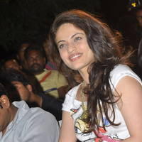 Sneha Ullal New Pictures at Park Movie Audio Release | Picture 436715