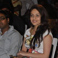 Sneha Ullal New Pictures at Park Movie Audio Release | Picture 436719