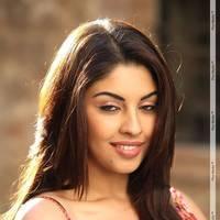 Richa Gangopadhyay Latest Hot Images | Picture 437716