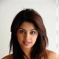 Richa Gangopadhyay Latest Hot Images | Picture 437718