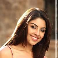 Richa Gangopadhyay Latest Hot Images | Picture 437734