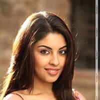 Richa Gangopadhyay Latest Hot Images | Picture 437760