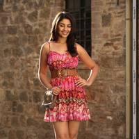 Richa Gangopadhyay Latest Hot Images | Picture 437764