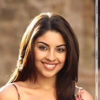 Richa Gangopadhyay Latest Hot Images | Picture 437790
