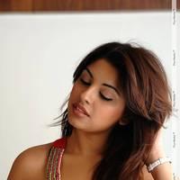 Richa Gangopadhyay Latest Hot Images | Picture 437800