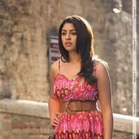 Richa Gangopadhyay Latest Hot Images | Picture 437802