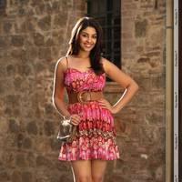 Richa Gangopadhyay Latest Hot Images | Picture 437806
