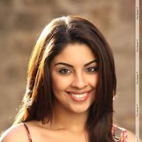 Richa Gangopadhyay Latest Hot Images | Picture 437848