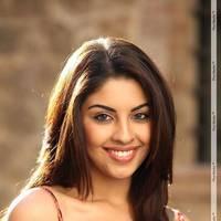 Richa Gangopadhyay Latest Hot Images | Picture 437850
