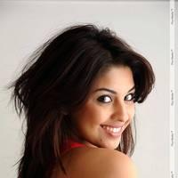 Richa Gangopadhyay Latest Hot Images | Picture 437860