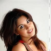 Richa Gangopadhyay Latest Hot Images | Picture 437886