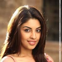 Richa Gangopadhyay Latest Hot Images | Picture 437892