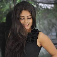 Seethal Sidge Hot Images at Donga Prema Movie Opening | Picture 438579