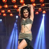 Taapsee Pannu - Shadow Movie Latest Stills | Picture 438368