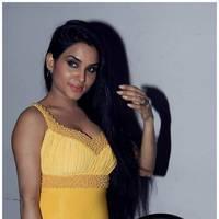 Kavya Singh Hot at Half Boil Movie Audio Launch Pictures | Picture 440311