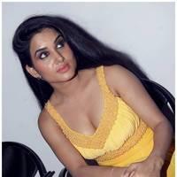 Kavya Singh Hot at Half Boil Movie Audio Launch Pictures | Picture 440337