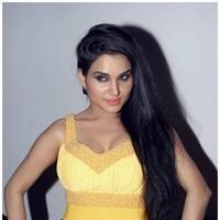 Kavya Singh Hot at Half Boil Movie Audio Launch Pictures | Picture 440344