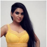 Kavya Singh Hot at Half Boil Movie Audio Launch Pictures | Picture 440351
