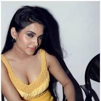 Kavya Singh Hot at Half Boil Movie Audio Launch Pictures | Picture 440353