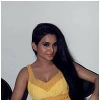 Kavya Singh Hot at Half Boil Movie Audio Launch Pictures | Picture 440358