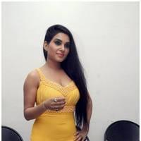 Kavya Singh Hot at Half Boil Movie Audio Launch Pictures | Picture 440367