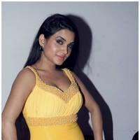 Kavya Singh Hot at Half Boil Movie Audio Launch Pictures | Picture 440370