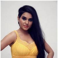 Kavya Singh Hot at Half Boil Movie Audio Launch Pictures | Picture 440374