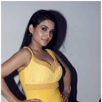 Kavya Singh Hot at Half Boil Movie Audio Launch Pictures | Picture 440379