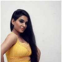 Kavya Singh Hot at Half Boil Movie Audio Launch Pictures | Picture 440400