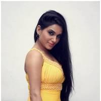 Kavya Singh Hot at Half Boil Movie Audio Launch Pictures | Picture 440428